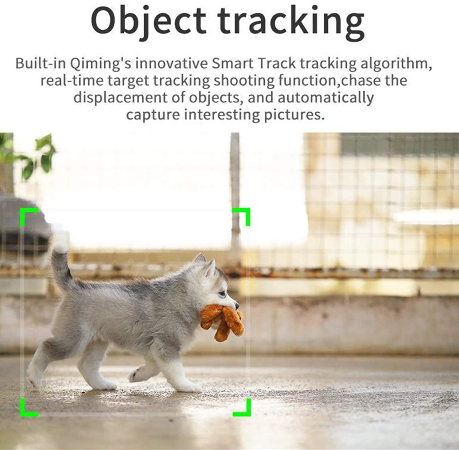 Selfie Smart Auto Shooting Stick 360° Selfie Smart Auto Shooting Stick 360° Electronics & Accessories Selfie Smart Auto Shooting Stick 360° Selfie Smart Auto Shooting Stick 360° Electronics & Accessories