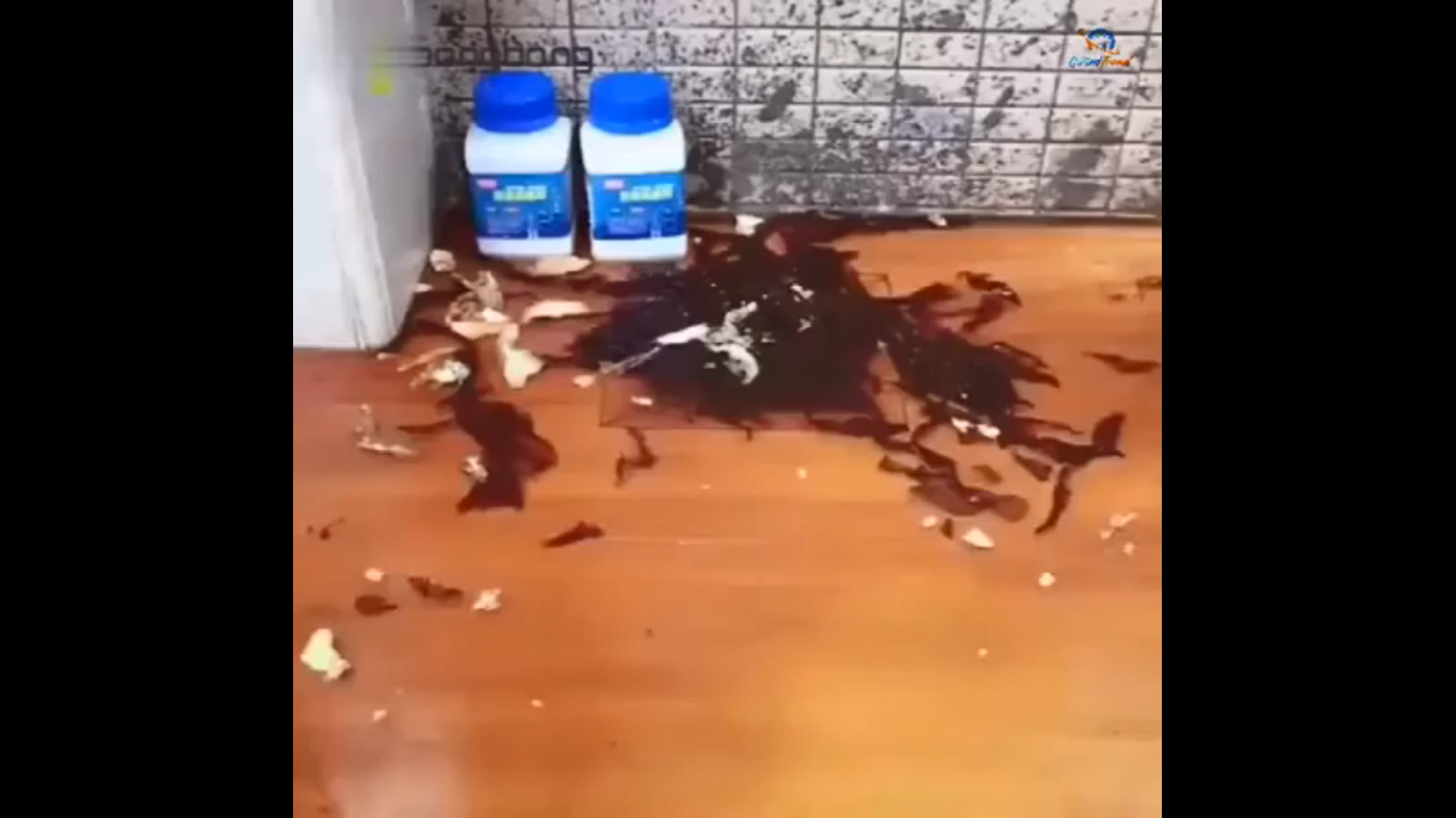 Multifunctional detergent powder Multifunctional detergent powder Bed & Bath Multifunctional detergent powder Multifunctional detergent powder Bed & Bath